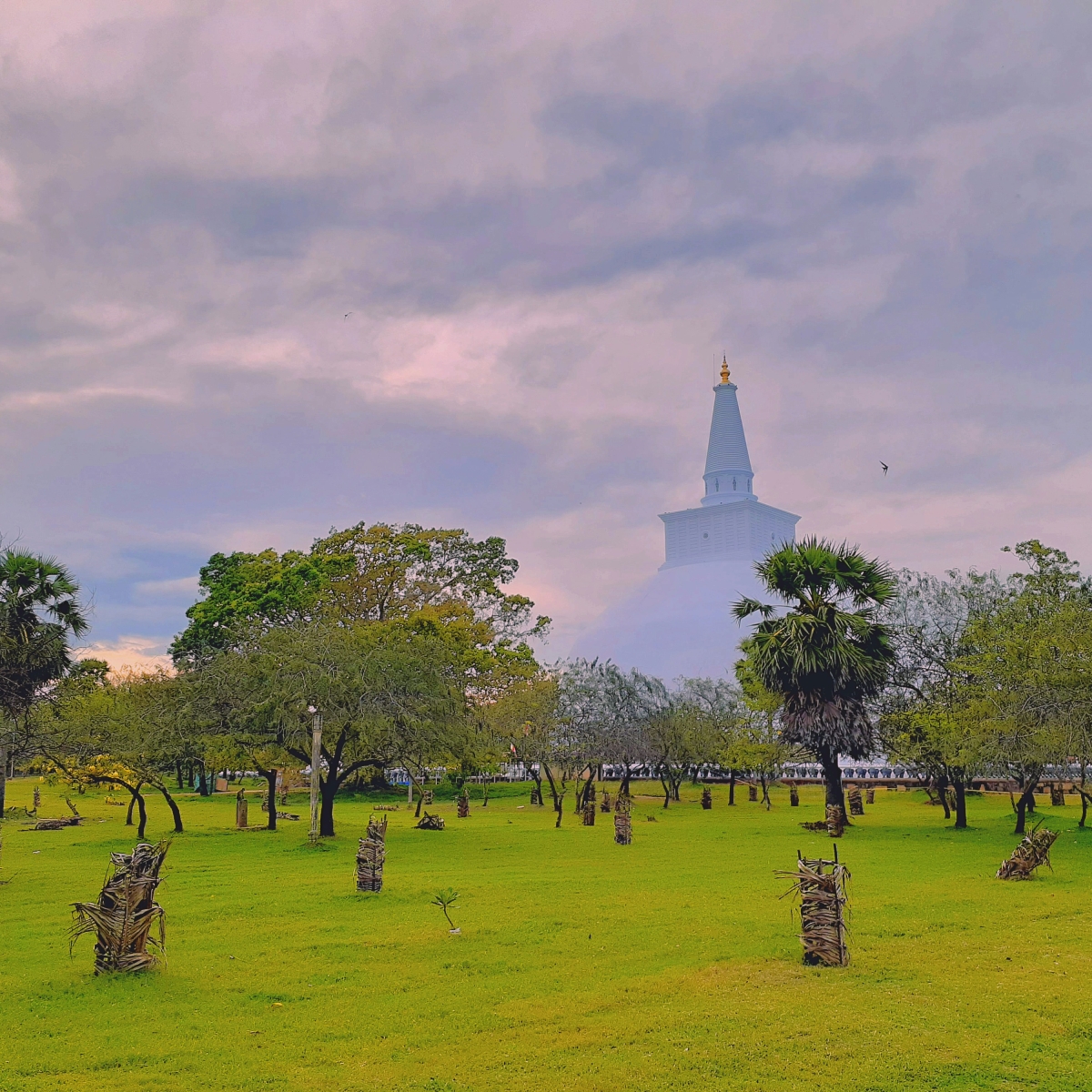 Anuradhapura